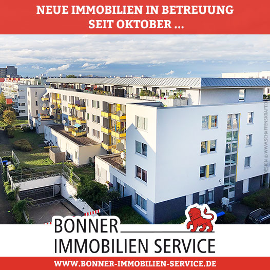 Neue Immobilien in Betreuung seit Oktober ...